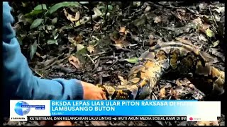 Xitoylik ayolning sikilishi haqidagi porno video