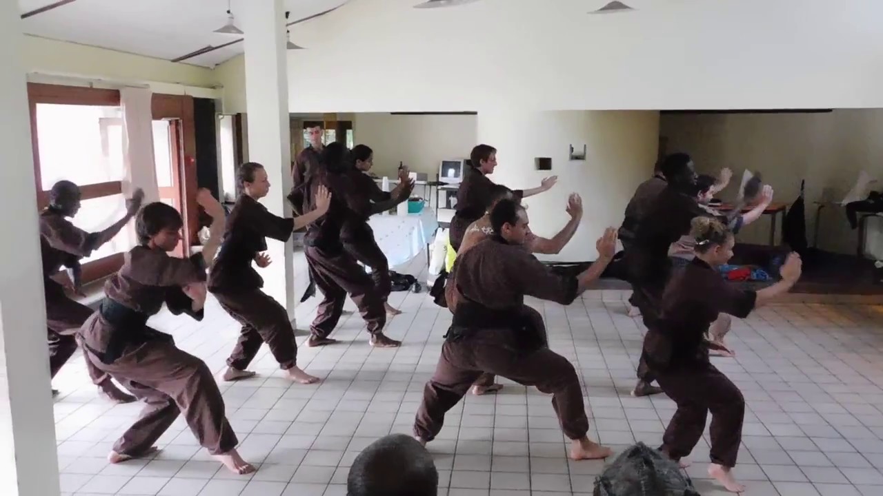 2017-06-30 Võ Dan Toc à Cergy