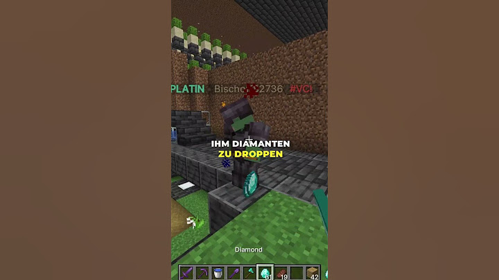 🎮💎 Heute Morgen habe ich auf meinem Minecraft Server einen Clan-Spieler entdeckt!