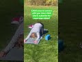 Child’s pose is wonderful to reset your nervous system. If you want to see more like and subscribe!