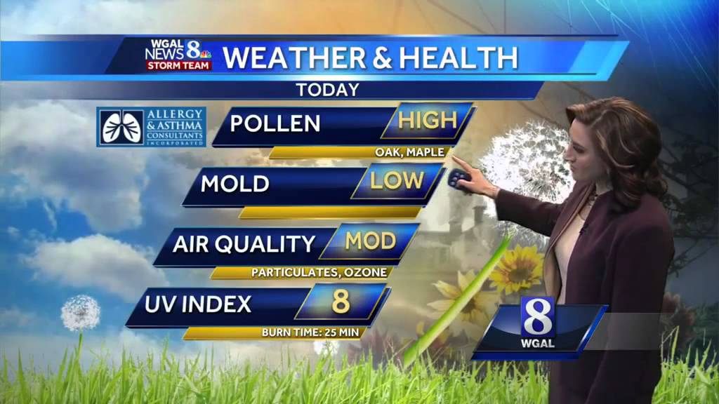 Mostly sunny, highs in the 80s - YouTube