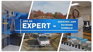 Benefits of an Odd/Even Lawn Watering Schedule (Ask an Expert)