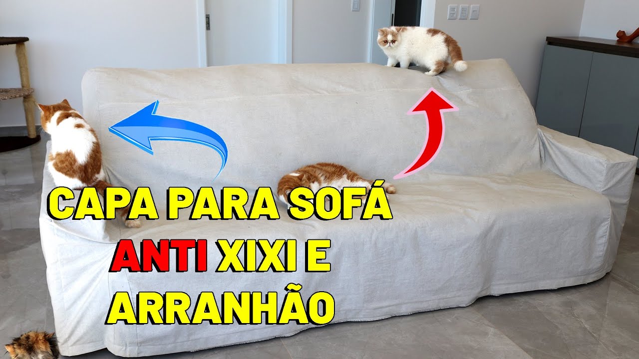 Capa para sofá ANTI XIXI de gato e o gato NÃO ARRANHAR (fotos dos gatos no  final 😻) - Gatil Hauser - thptnganamst.edu.vn