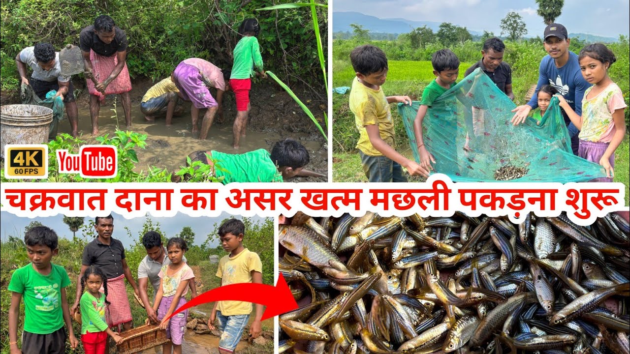 चक्रवात दाना का असर कम होते ही गांव के बच्चों के साथ मछली पकड़ने में मज़ा आ गया🎣😲♥️|