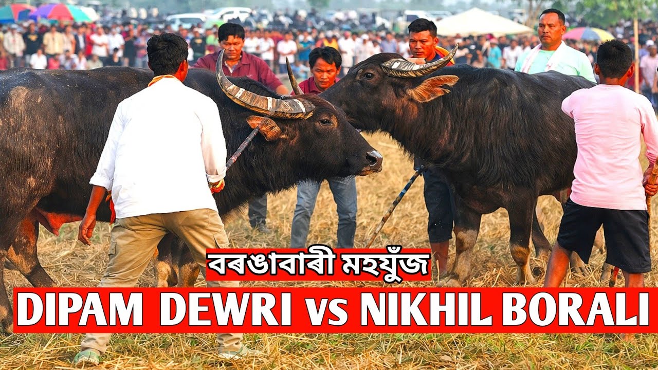 Dipam Dewri Vs Nikhil borali || borangabari Mohjuj 