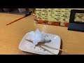 1番の無駄遣いをした