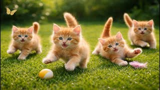 🌿😺 Playful Kittens Having Fun Outdoors | Relaxing Cat Sounds | Cute Cat Video | Soft Meows screenshot 1