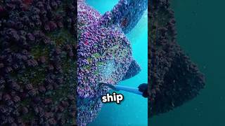 He Took The Job And Instantly Regretted It