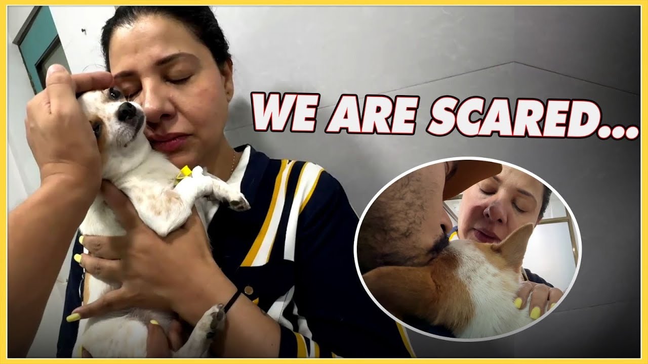 CHHUNCHHUN KI SURGERY🩻