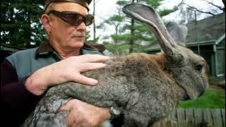 d38c250d e7ac 4214 91f7 8c8b4893b789