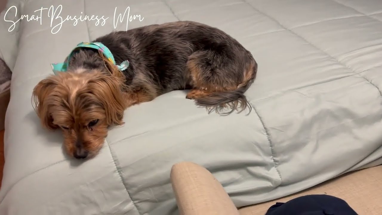 Review of the Bedsure 7 Piece Comforter and Sheets Set in Sage Green 