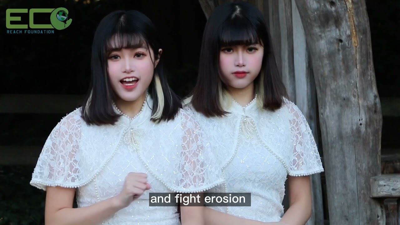 ECO REACH FOUNDATION PROJECT