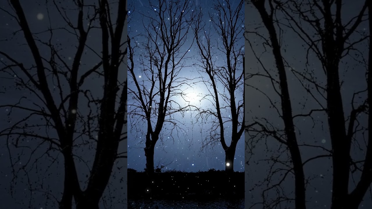 Close Your Eyes, Breathe Deeply 🌬️ | Deep Calm & Relaxation 