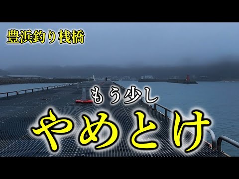 【やめとけ】豊浜釣り桟橋の開幕をいち早く知る方法を解説‼︎※最新投稿アリ