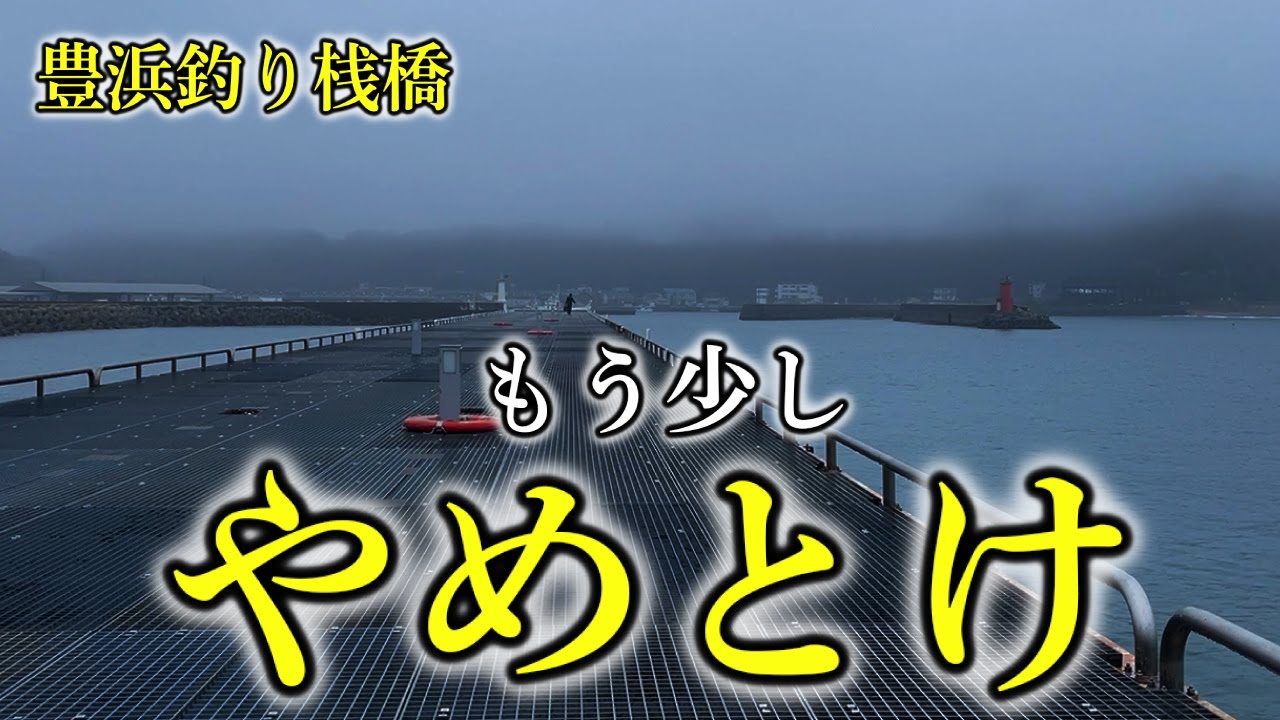 【やめとけ】豊浜釣り桟橋の開幕をいち早く知る方法を解説‼︎※最新投稿アリ