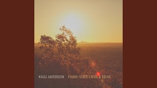 Shine - Niall Anderson