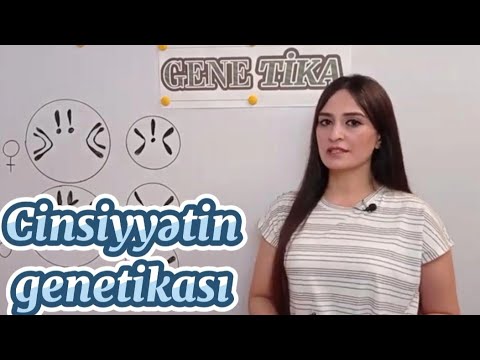 Genetika ders 5. Cinsiyyətin genetikası. İlişikli irsiyyət