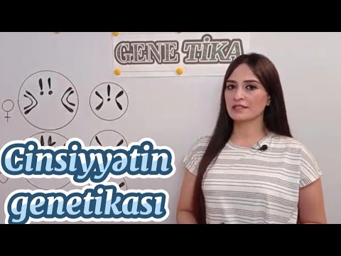 Video: İrsiyyətin əhəmiyyəti nədir?