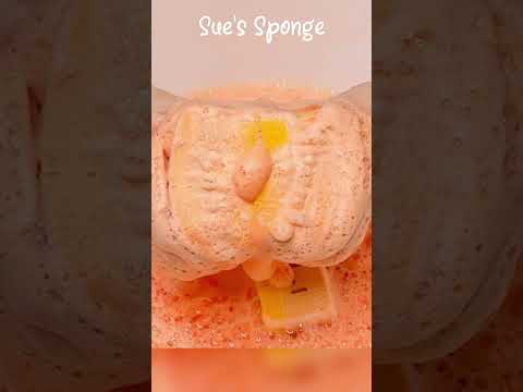 ASMR Kitchen Sponges x Recycle Body Soap