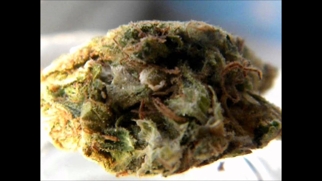 Mr.Davis Marijuana Strain- Pineapple Kush