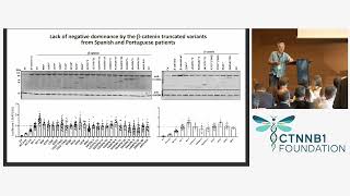 Characterization and functional reconstitution of CTNNB1 variants: therapeutic implications