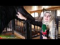 Спецрепортаж о развитии конного спорта в Чечне
