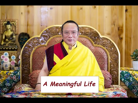 A Meaningful Life - Tai Situpa Rinpoche