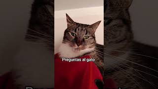 preguntas random