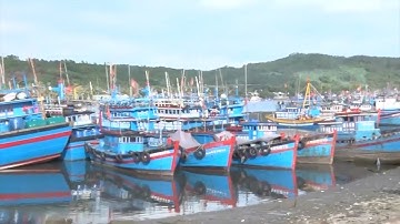 Ngư dân Quảng Ngãi cần được hỗ trợ để vươn khơi bám biển