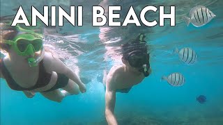 Snorkeling at Anini Beach | Best Snorkeling Spots on Kauai