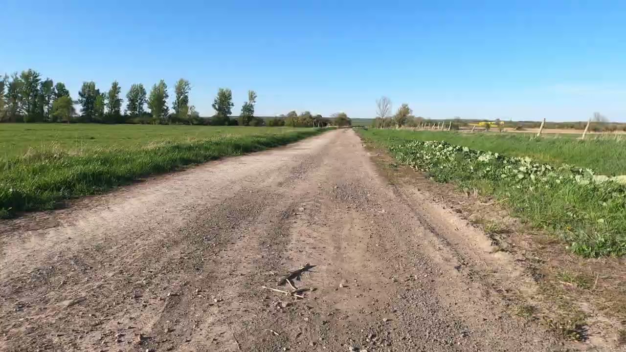 Oschersleben und Umgebung Teil 5