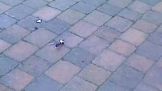 Timer Grenade 2Penny Bomb