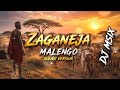 Zaganeja Malengo Kolasi Version By Dj Msix 