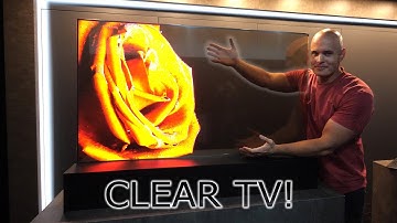 I found a Transparent TV! - How does it work?! OLED vs LCD