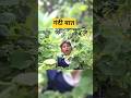 Gandi Baat Family Drama Shorts Comedy 