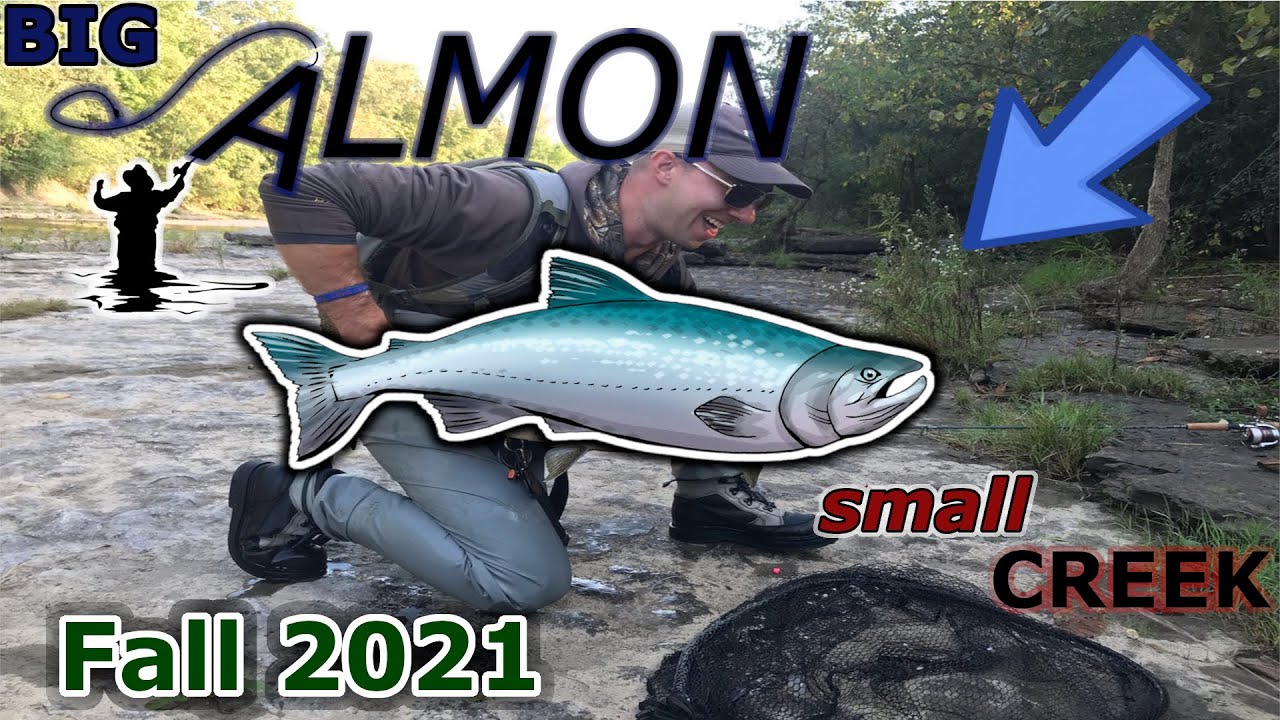 Salmon Fishing New York **(Fish Caught)** YouTube