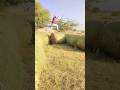 boxing training