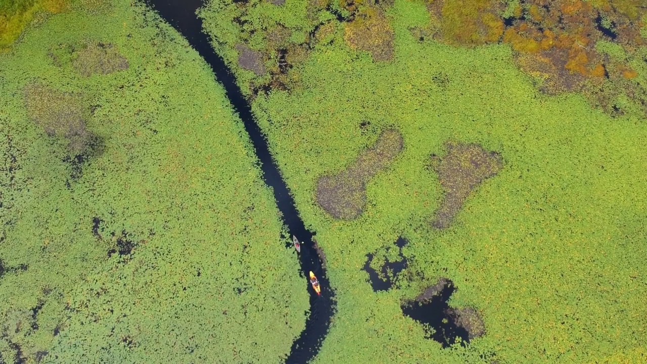 Long Pond Drone video