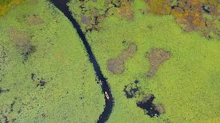 Long Pond Drone video