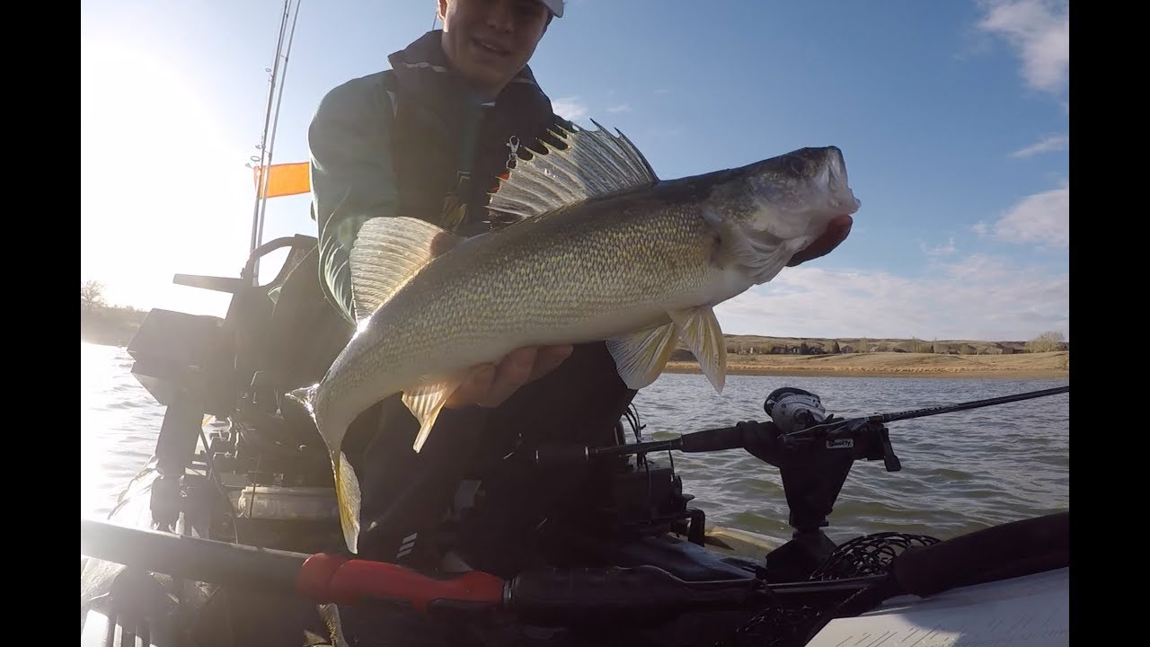 Bottom bouncing for walleye in a KAYAK! - YouTube