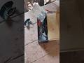 electrician unboxing shorts video 💡⚡#trending #highlight #tecnician #electrician #viral #shorts