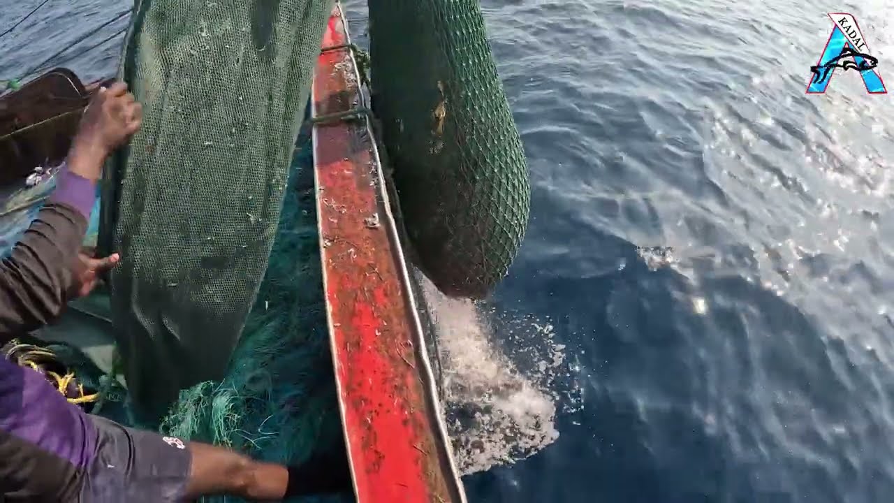 Fishermen at Work on the Open Ocean | Bringing in the Net | Life at Sea: A Day of the Catch #KadalTv