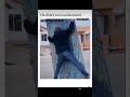 Comedy!! #comedy #comedyfails #funny #funnyfails