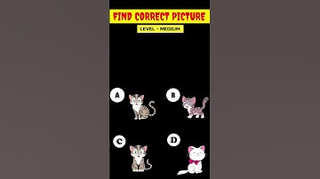 Can you find the correct shadow || Riddles And Puzzles For Iq Test || part HA || #quiztime #shorts