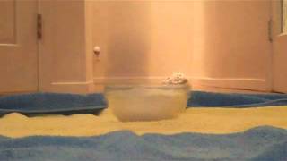 flour exploding in slow-mo