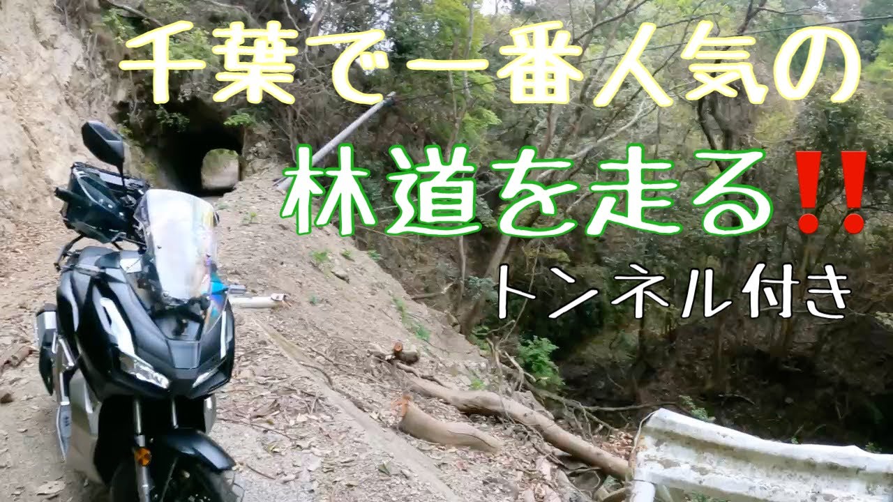 【ADV150】超人気のオフロード林道を走りグランドキャニオン登山(小鋸山)、そして行列のできるのラーメン屋に行く！トンネルもあるよ。