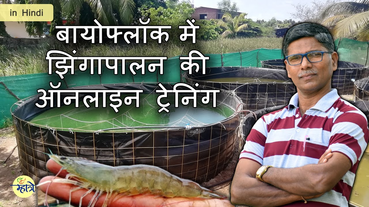 Shrimp Farming in Biofloc Online Training Program 9270150076