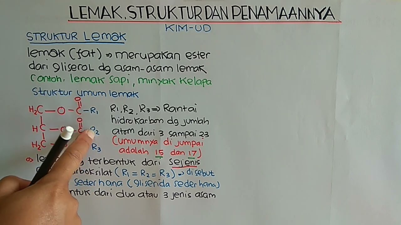 LEMAK, STRUKTUR DAN PENAMAANNYA