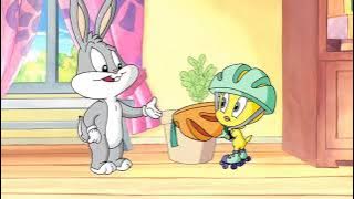 Baby Looney Tunes - Melhores Episódios