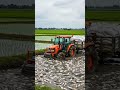 “Tractor Drives Through Muddy Field Filled with Dead Fish | #TractorInMuddyField #FarmingLife